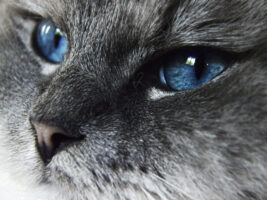 Exposición de fotografía, y teatro.